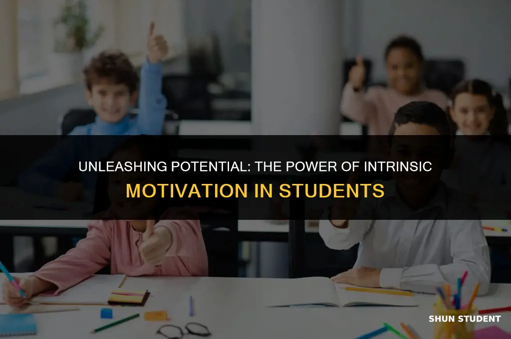 what is a good motivation for student