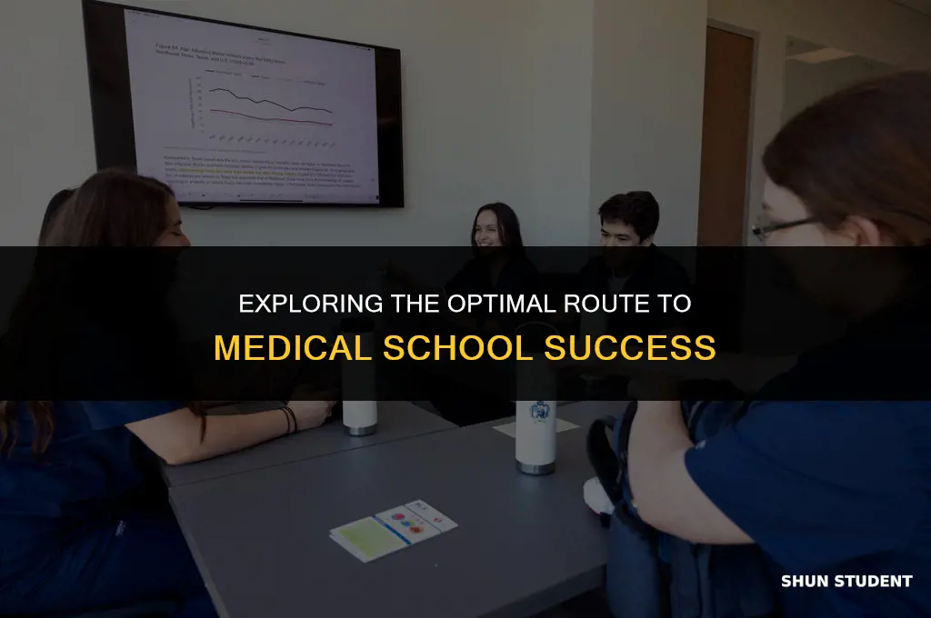 what is a good pathway for a future medical student