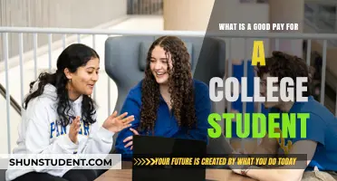 Lucrative Paychecks for College Students: What's a Fair Wage?
