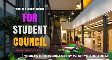 Top Platforms for Student Councils: A Comprehensive Guide