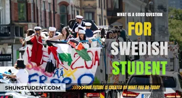 Exploring Curiosity: Crafting Engaging Questions for Swedish Students