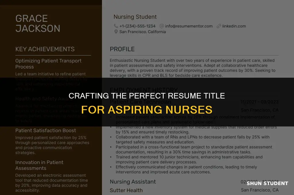 what is a good resume title for a nursing student