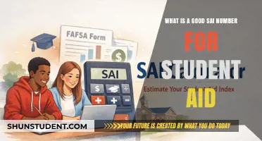 Unlocking Financial Aid: The Ideal SAI Number for Students