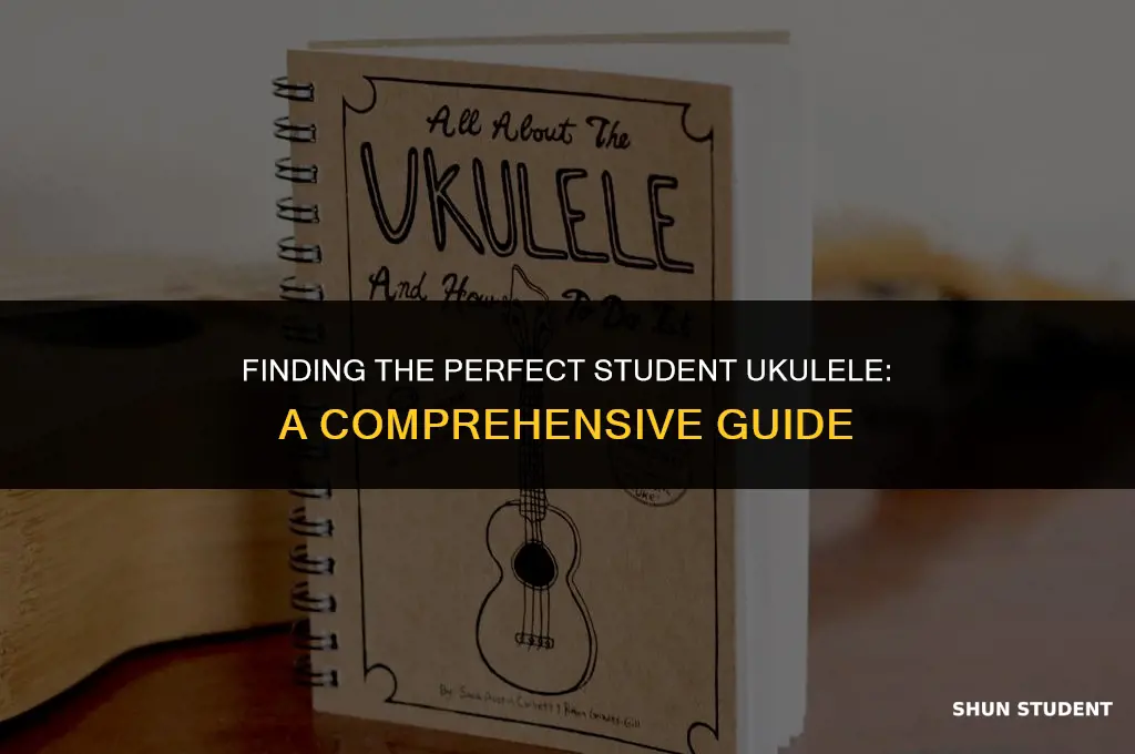 what is a good solid student ukelele