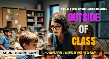 Curious Minds Prevail: The Art of Student Inquiry Beyond Class
