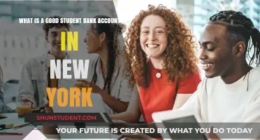 Best Student Bank Accounts in New York: A Comprehensive Guide