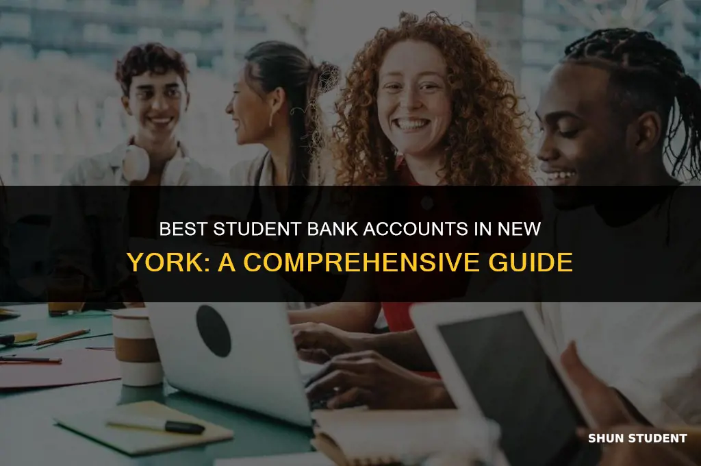 what is a good student bank account in new york