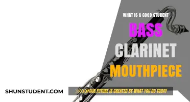 Finding the Perfect Student Bass Clarinet Mouthpiece: A Guide