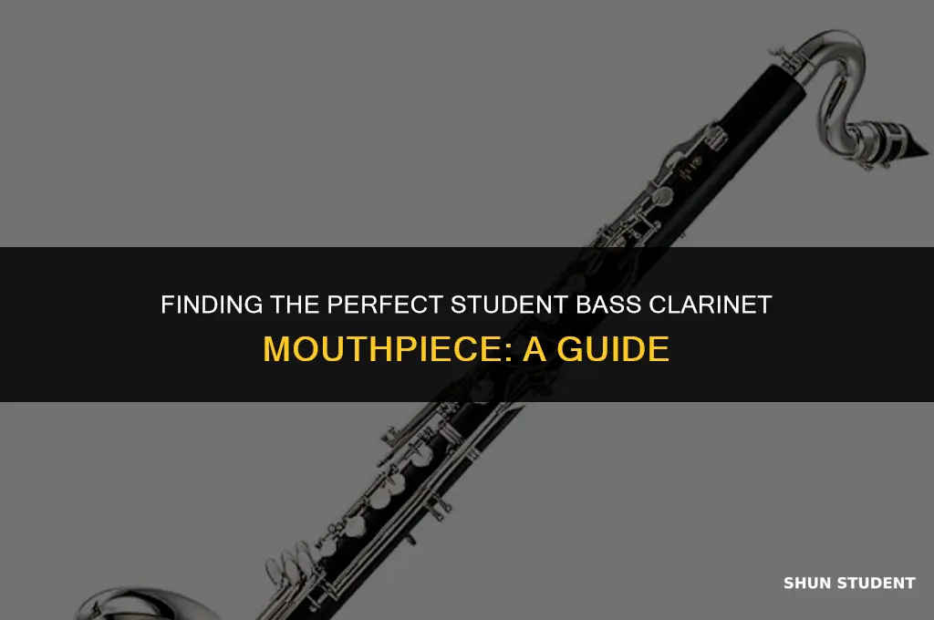 what is a good student bass clarinet mouthpiece