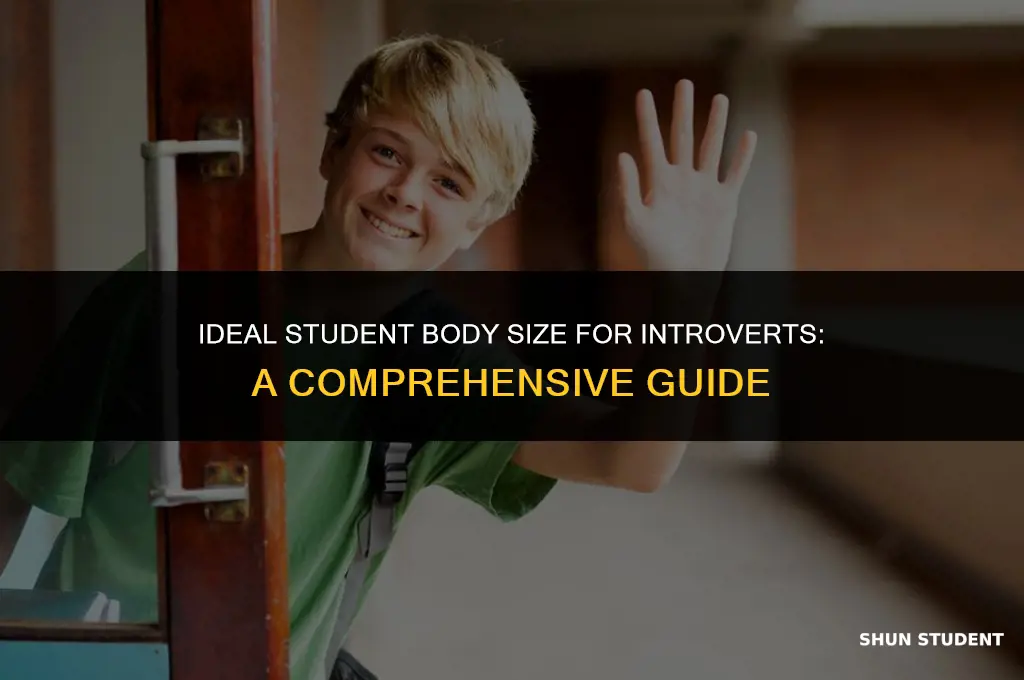 what is a good student body size for introvert