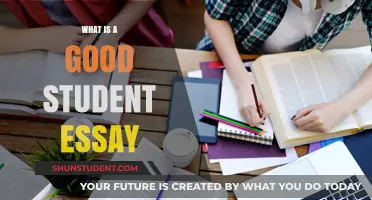 Crafting Excellence: A Guide to Writing a Stellar Student Essay