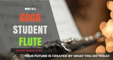 Discovering the Perfect Student Flute: A Comprehensive Guide
