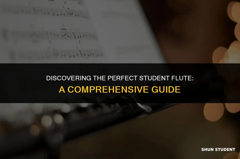 what is a good student flute