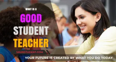 Qualities of an Effective Student Teacher: Nurturing Future Educators