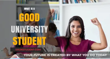 Traits of Successful University Students