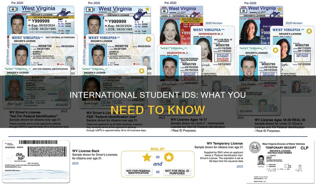 what is a government issued id for international students