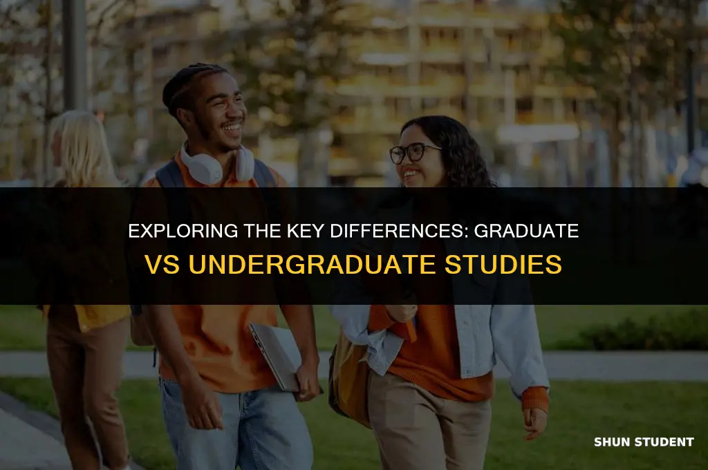 what is a graduate student vs an undergraduate