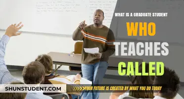 Teaching Assistant Roles: Understanding Graduate Student Instructors in Academia