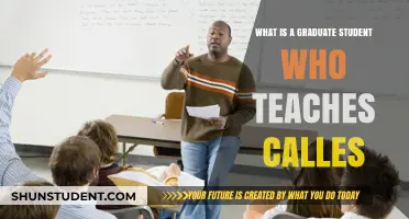 Teaching Graduate Students: Understanding the Role of a Graduate Teaching Assistant