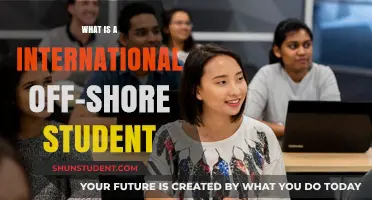Off-Shore Students: International Education's Future?