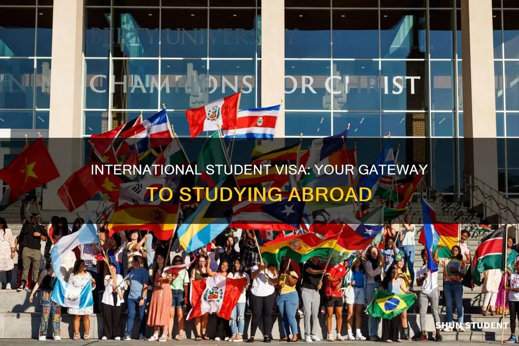 what is a international student visa