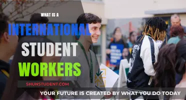 International Student Workers: Their Rights and Benefits