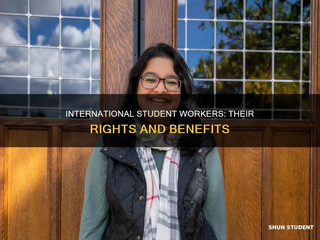 what is a international student workers