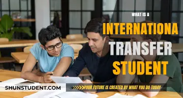 Transfer Student: An International Perspective