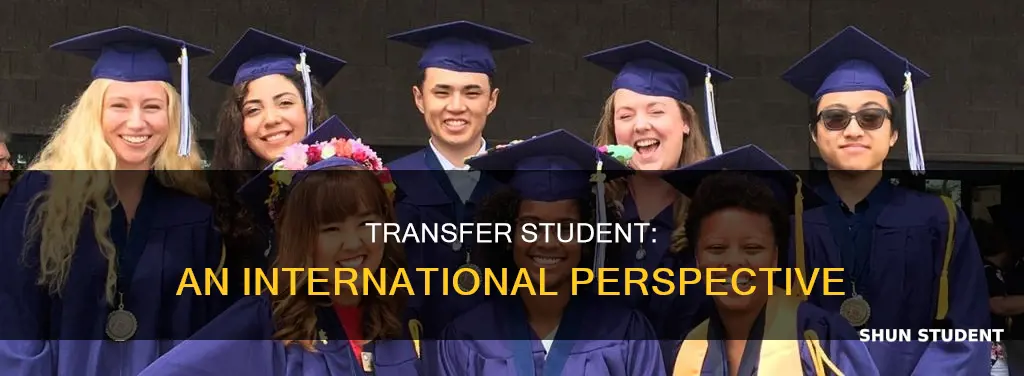 what is a international transfer student