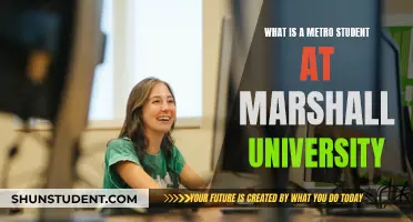 Understanding the Metro Student Experience at Marshall University