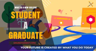 From Freshmen to Graduates: The College Journey Unveiled