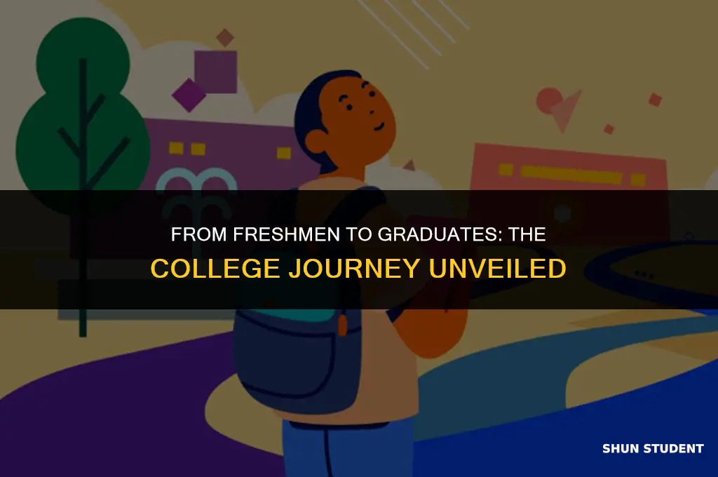 what is a new college student a graduate