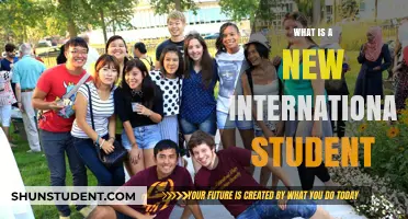 International Student Newcomer: A Guide