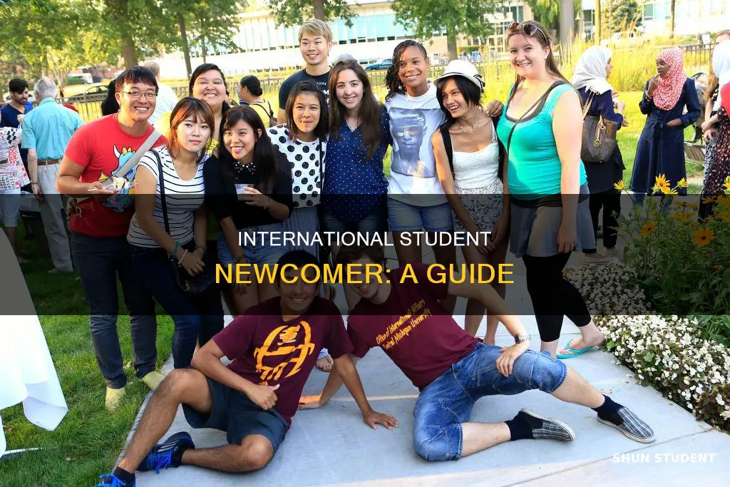 what is a new international student