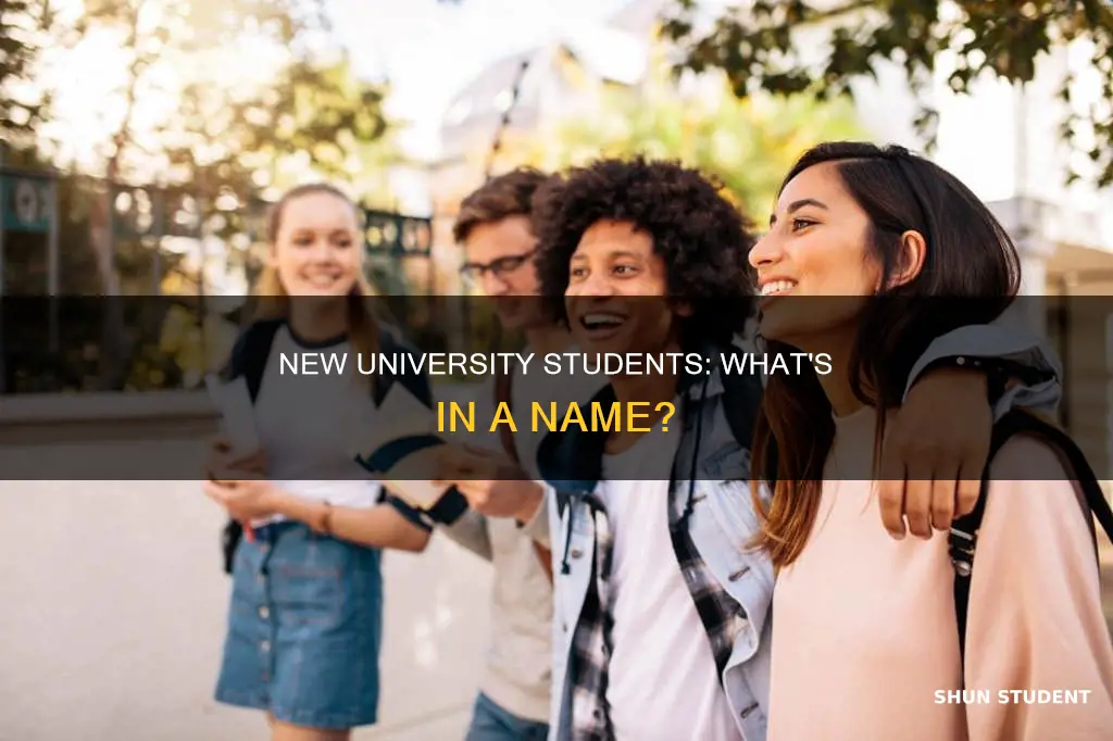 what is a new university student called