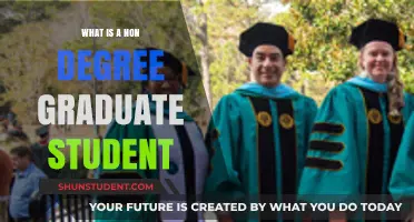 Exploring the Path of a Non-Degree Graduate Student