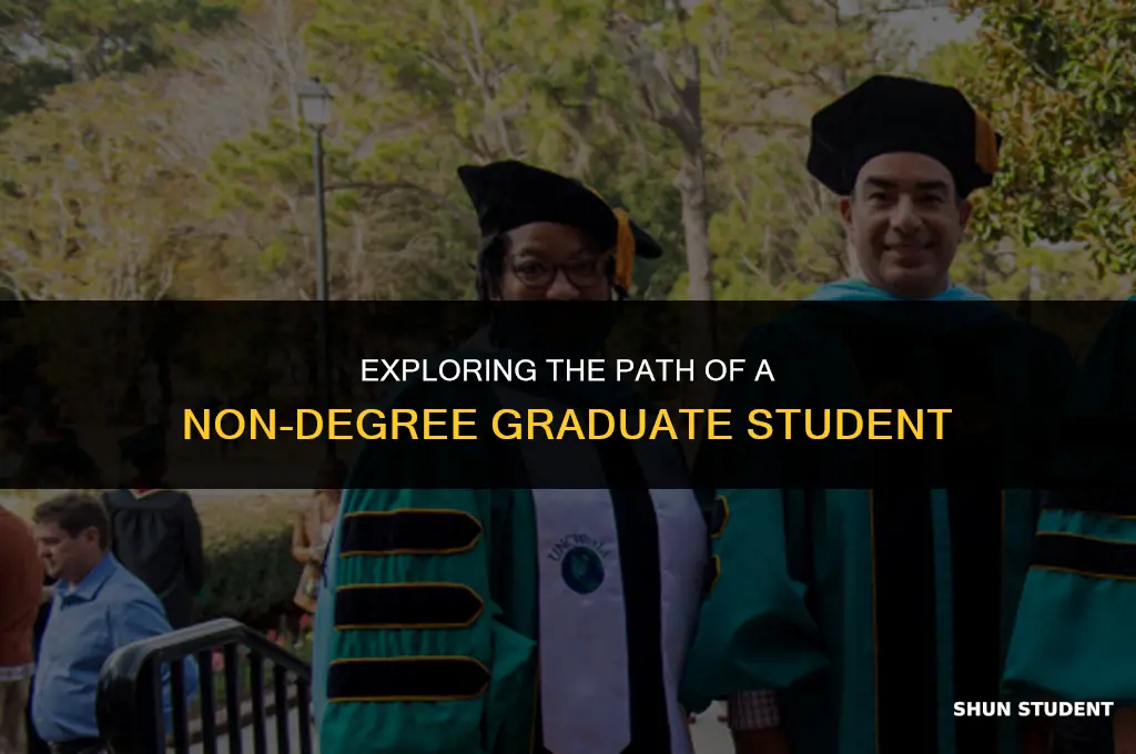 what is a non degree graduate student