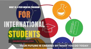 Peer Mentor Programs: Supporting International Students