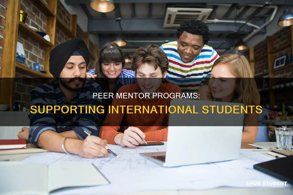 what is a peer mentor program for international students