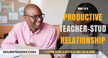Fostering Success: Building Productive Teacher-Student Relationships for Learning