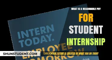 Internship Pay: Fair Compensation for Students