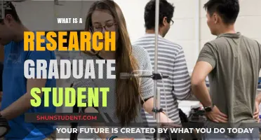 Exploring the Journey of a Research Graduate Student
