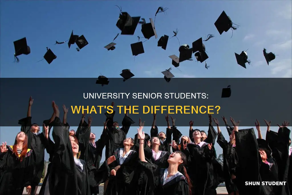 what is a senior student at university