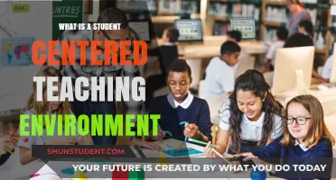 Empowering Learners: Understanding the Student-Centered Teaching Environment