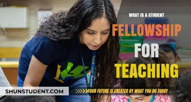 Exploring Student Teaching Fellowships: Opportunities, Benefits, and Application Tips