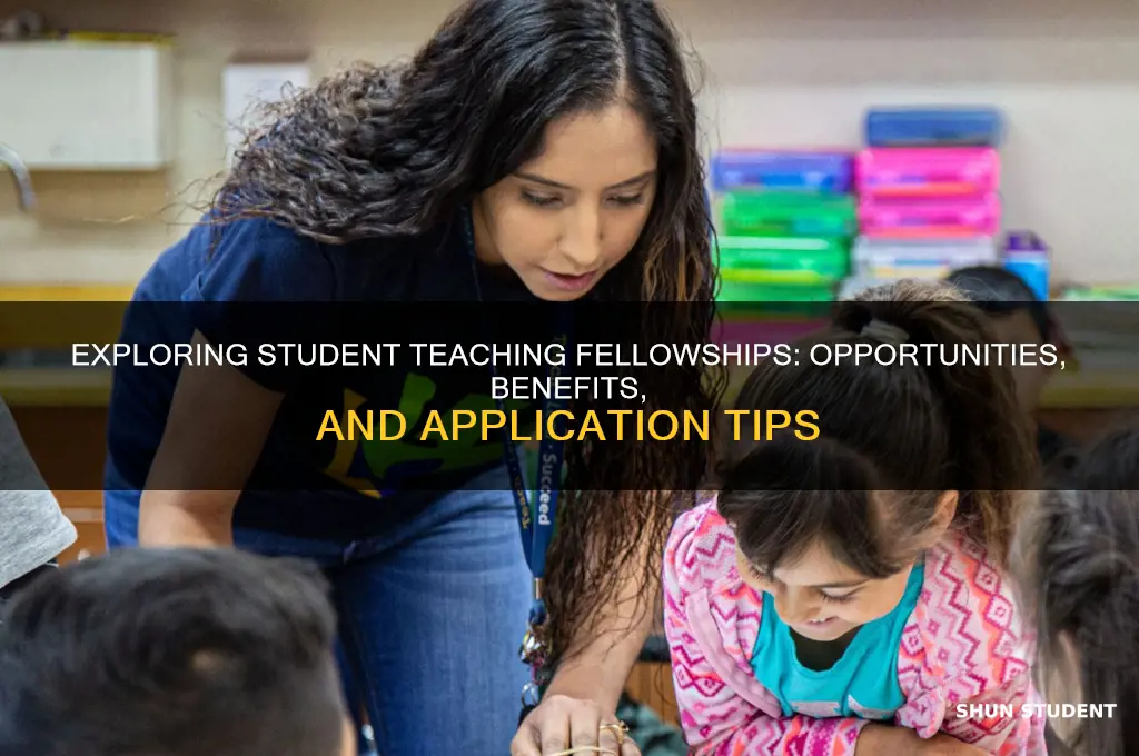 what is a student fellowship for teaching