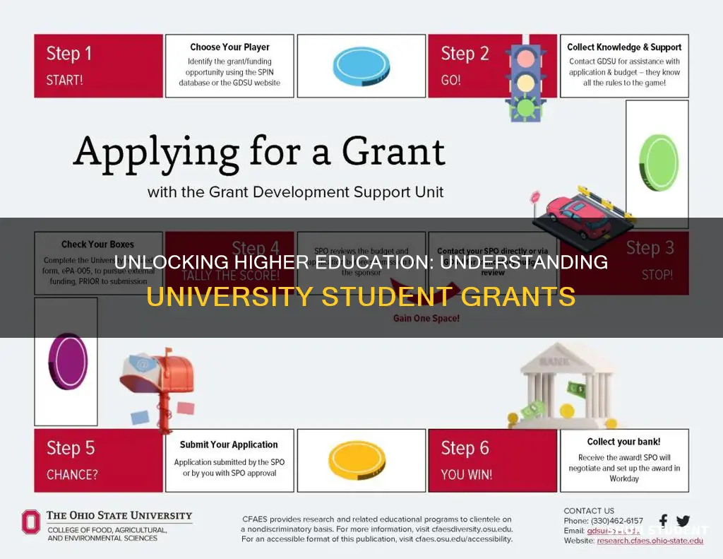 what is a student grant for university