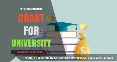 Student Grants: University Funding Options