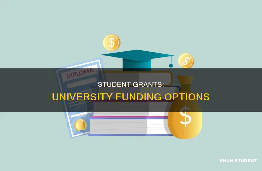 what is a student grant for university