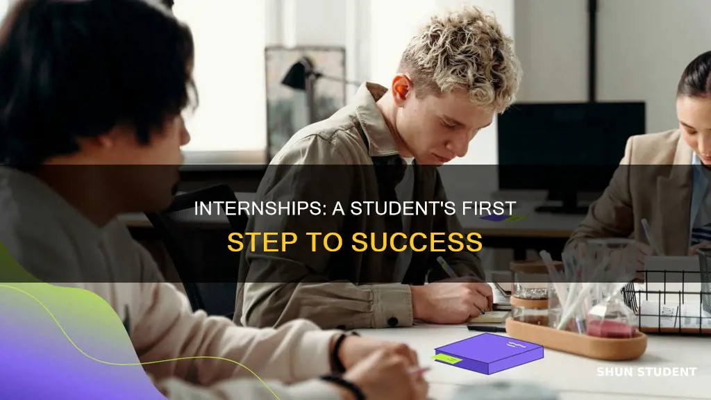 what is a student intern